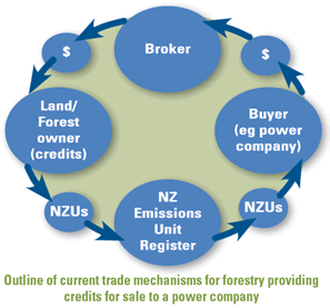 The diagram below shows the flow of NZUs and money in the trade under the Emissions Trading Scheme