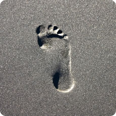 GHG Footprinting